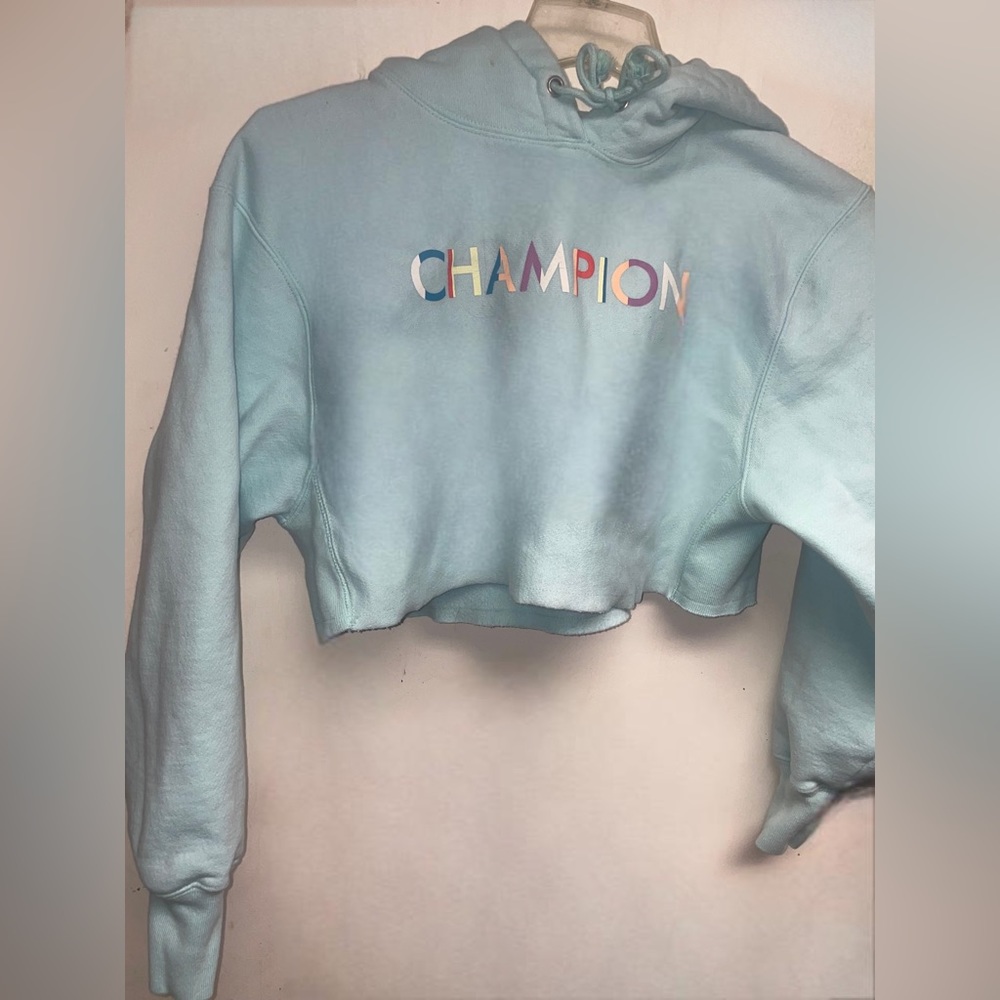 Champion cropped hoodie